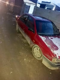 شغاله • سعر مناسب