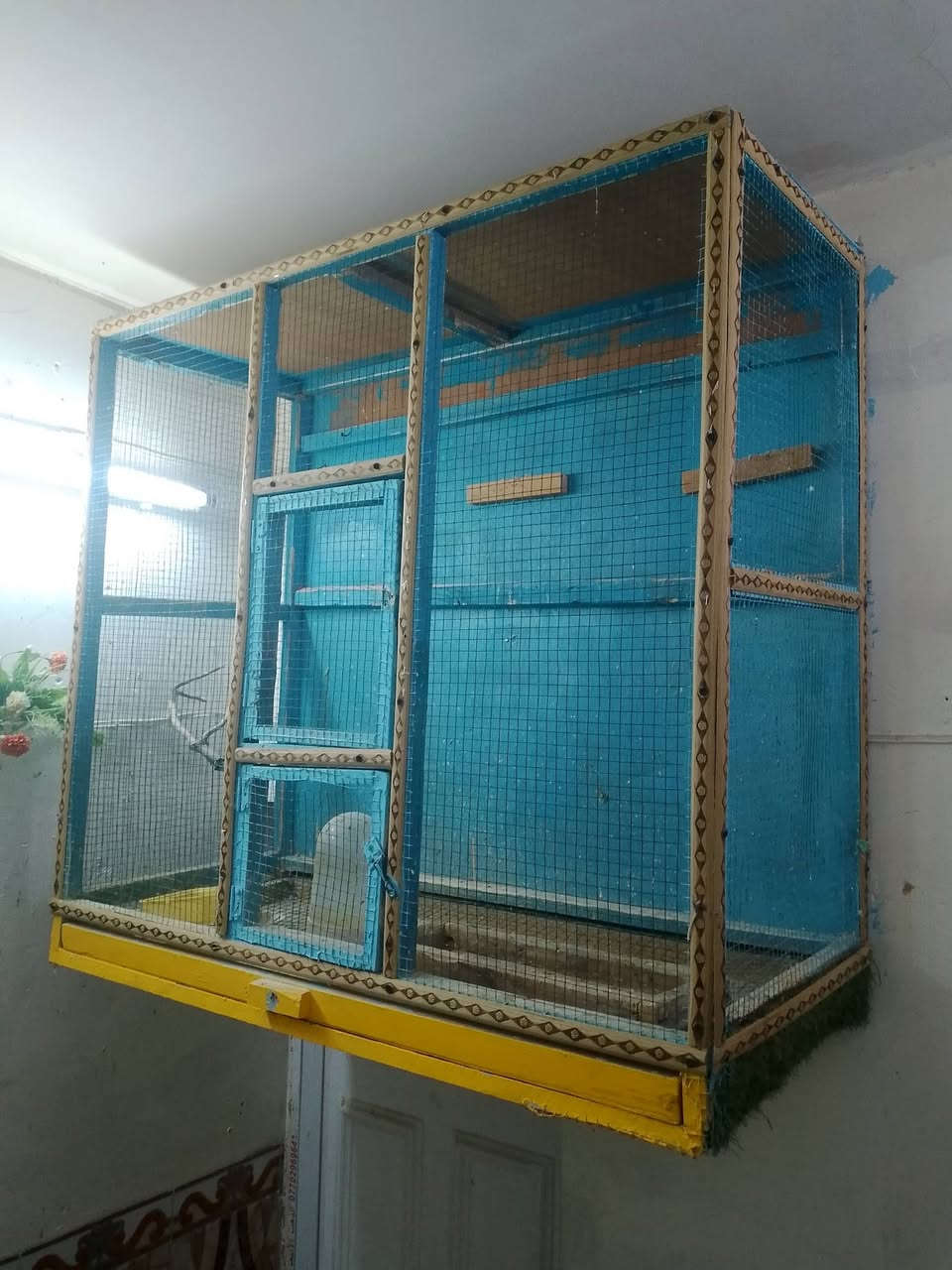 قفص للبيع العرض متر و10 والطول متر و10 نزال 50 سعر 30 المكان بغداد مدينه الصدر


**إذا كنت صاحب هذا الإعلان وتريد حذفه لأي سبب، رجاءا أرسل رسالة إلى الدعم الفني**