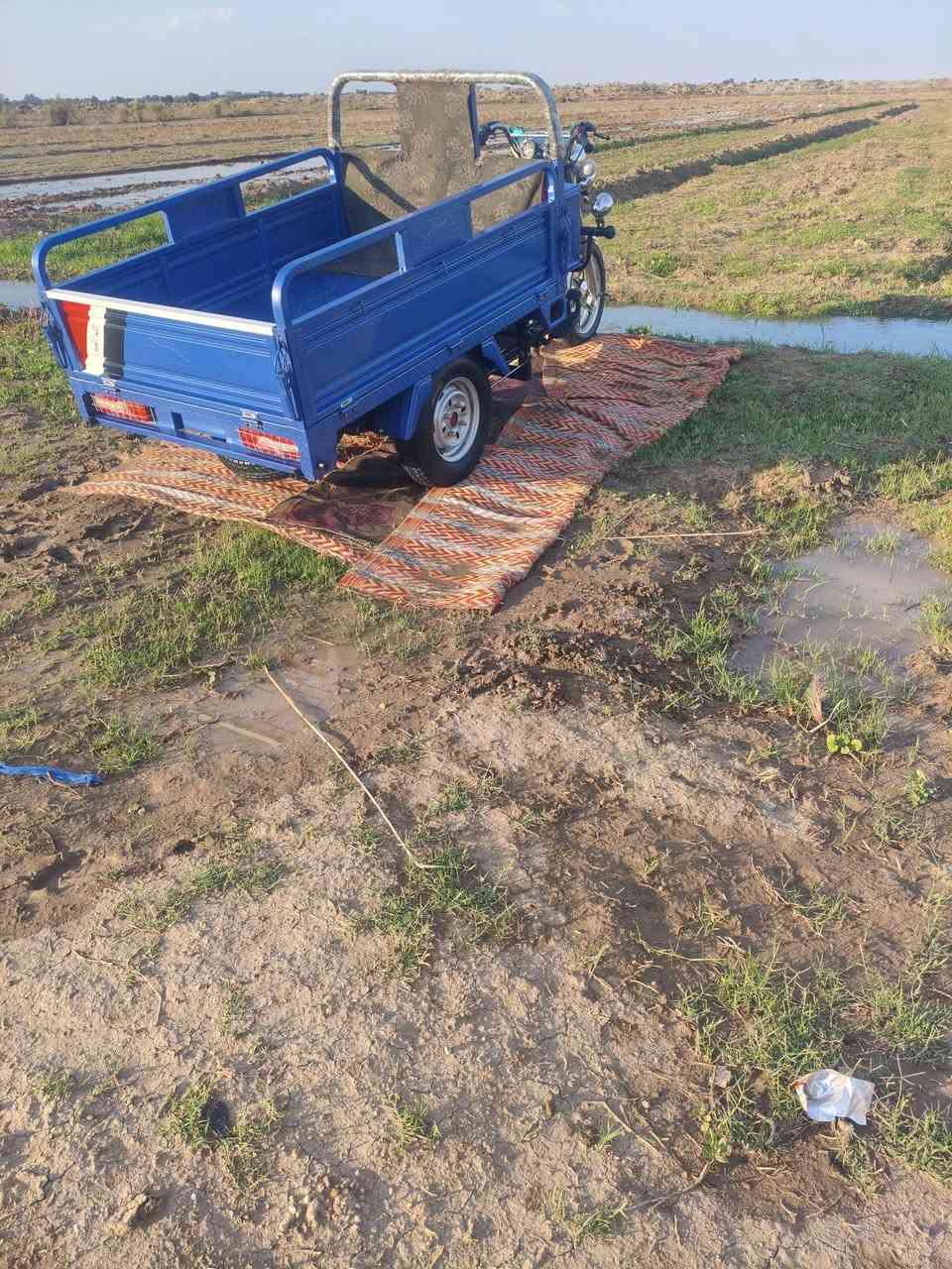 للبيع 2023الوكيل نبيل جرد العنوان ديوانيه سومر الاستفسار تصل ***********
