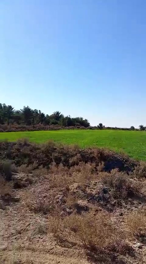 1000 دونم طابو سند 25 شاطيه على شط الفرات موجو ببهن 500 نخله مي السقي كامل موجود...  بالديوانيه  ناحية البساميه.قضاء الحمزه عادي ينباع منها (100/ 200 /300)
سعر الدونم (3) 
للاستفسار اكثر خاص ..


**إذا كنت صاحب هذا الإعلان وتريد حذفه لأي سبب، رجاءا أرسل رسالة إلى الدعم الفني**
