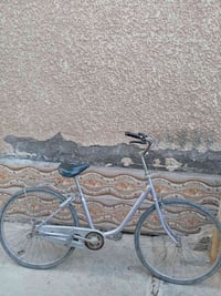 باسكل • الحجز • محل