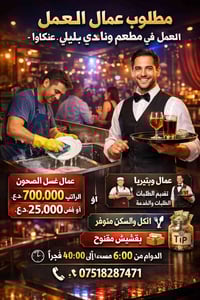 عنكاوا • غسل صحون • مطعم ونادي ليلي