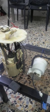 فيت بم • كامل • خرطومين