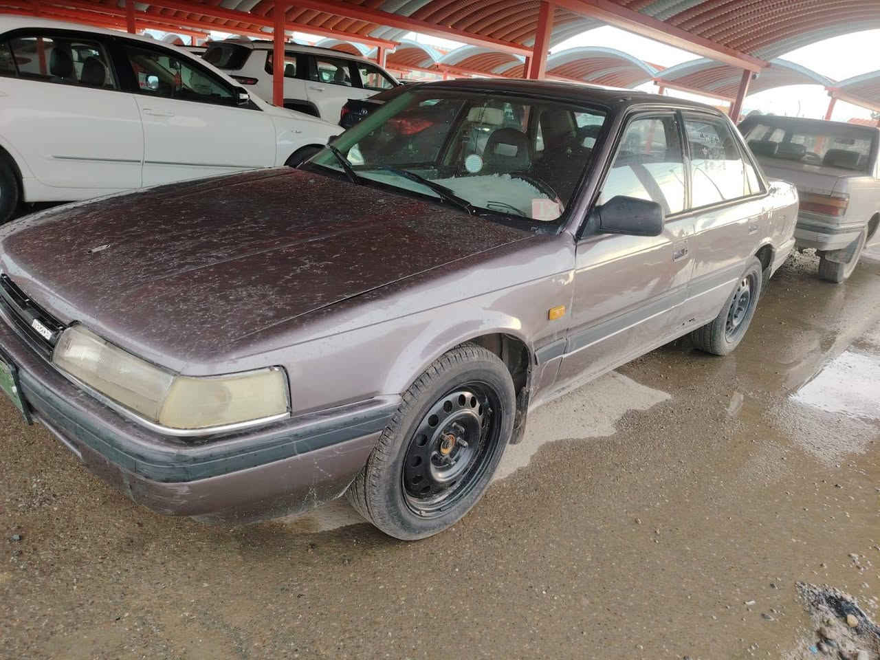 مازدا 626
محرك 8بخ نوزل
گير محرك شرط
صدر جديد
تايرات جديد
رش عام جماليه
غرفتها جديده
سياره جديده
رقمها فحص نينوى
راعيها ما مخابره
سعر ٢٥
***********
الحويجه/الحلوات
