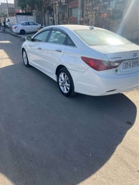 سوناته • ٢٠١٣ • وارد امريكي