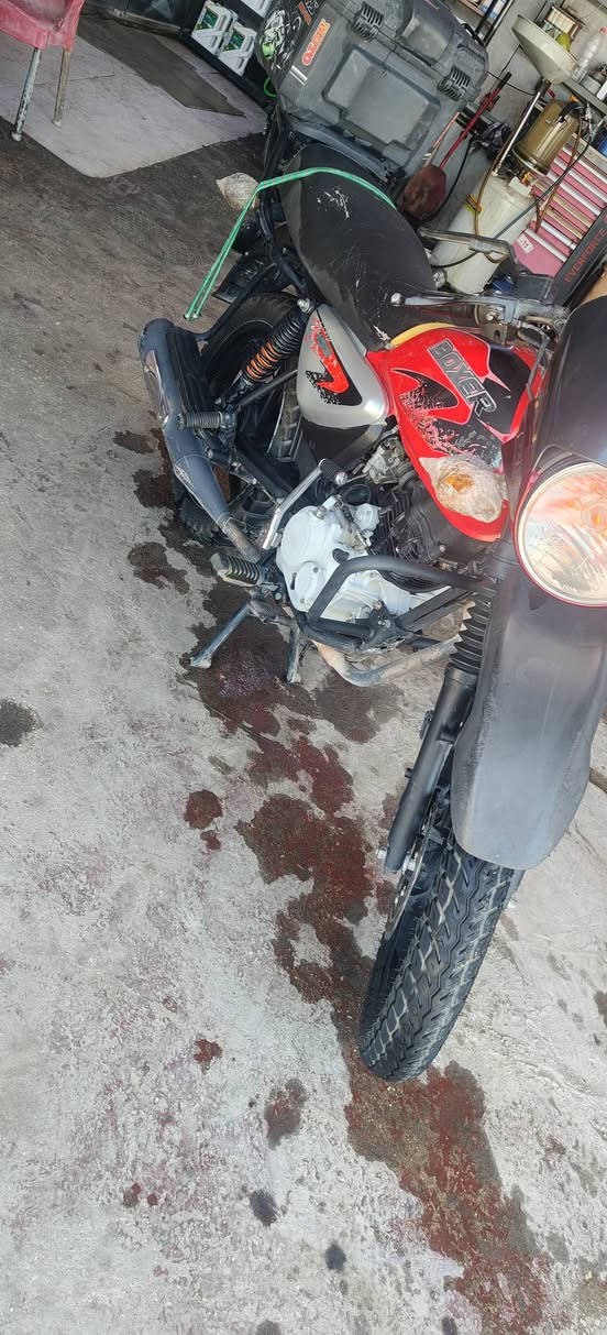 بوكسر للبيع مديل 22 جبلي نضيفه كلش كلك مكفوله من السرقه مكاني كربلاء


**إذا كنت صاحب هذا الإعلان وتريد حذفه لأي سبب، رجاءا أرسل رسالة إلى الدعم الفني**