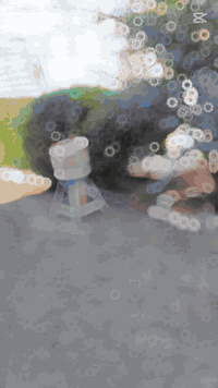 عملنا اليوم...
 السلام عليكم لعمل الحدايق العامه والمنزليه اشتغل  وزرع تنضيف حدايق ترتيب قص ثيل مع ستوته نقل مخلفات. ورش مبيد  والرزق على الله كل ماعليك مراسلت الصفحه او الاتصال ***********
