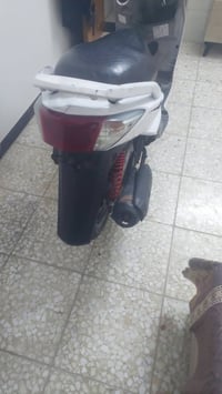 سكنس فحل بيع او مراوس الغزاليه 600.     07719453751