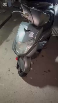 سكنس فحل • مكفولة • ضرر كفرات