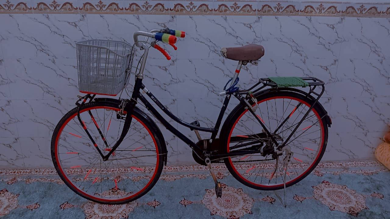 السلام عليكم بيسكل بناتي للبيع سعر 120وبي مجال ***********//***********
