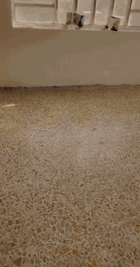 سلام عليكم. 50 متر. ركن.   طابقين   الارضي. غرفه. مع. مطبخ.  و طابق ثاني. غرفه. مع. حولي.   البيت. بي محل. جاهز.      العنوان شعب ديوان خلف شارع 25.   ***********.    سعره  95
