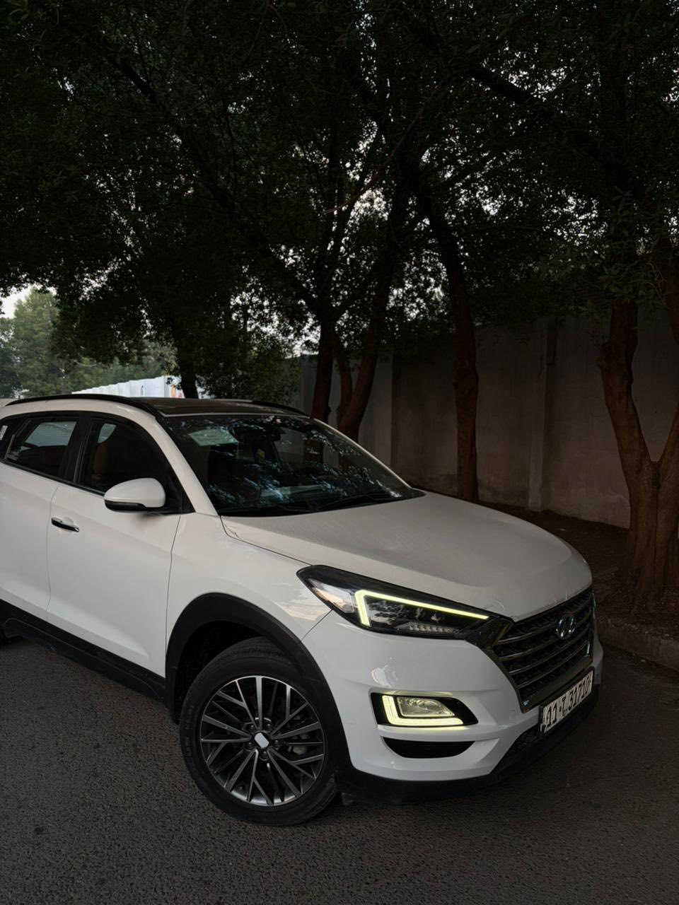 السلام عليكم
توسان ٢٠١٩ خليجي
ماشيه ٥١
فول مواصفات
بصمه
بانوراما
كشنات كهرباء
تبريد قطعتين
شاشه كبيره
مثبت سرعه
مود درايف
مرايه شفط
بيها صبغ ب البنيد شويه والدعاميه الخلفيه وصور السونار ب المنشور مكان السياره بغداد
السعر ١٨٧ ورقه وبيها مجال
للاتصال ***********
