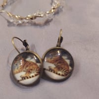 اكسسوارات نسائية • قطع رجالية • محابس