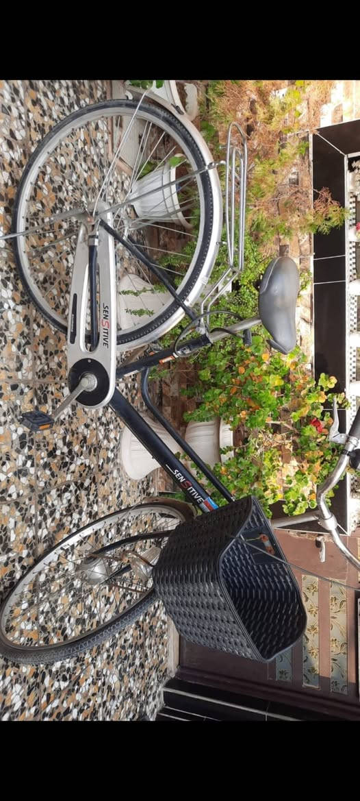 بايسكل للبيع سعره ٨٠


**إذا كنت صاحب هذا الإعلان وتريد حذفه لأي سبب، رجاءا أرسل رسالة إلى الدعم الفني**