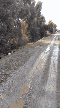 مشتمل مساحه 100 متر  مساحه الشارع 10مترامام وشارع خلف البناء عبور سيطرة أجحيش  كهرباء واصل  السعر 13وبي مجال الاتصال ***********
