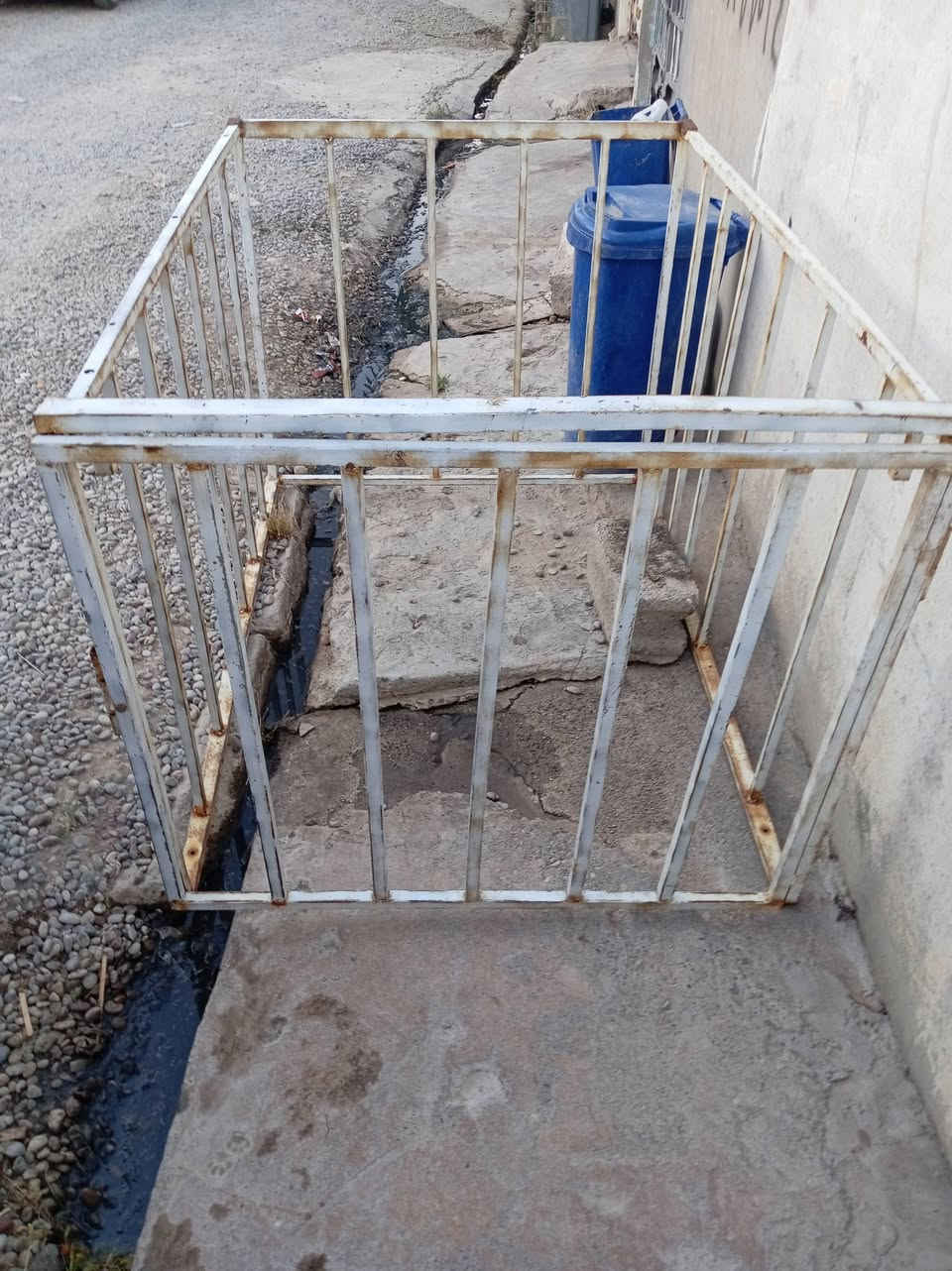 هاذ المحجل للبيع سعر ٦٥ بي مجال ***********الموقع قريتاق قرب العلوه
