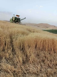 دؤاسه جوندير • موديل ٨٠ • ناحية العياضية