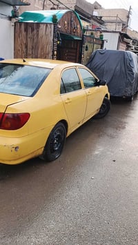 كورلا نحله • ٢٠٠٨ • سنوية ٢٠٢٧