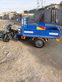 العمارة • ستوته • بدون أوراق