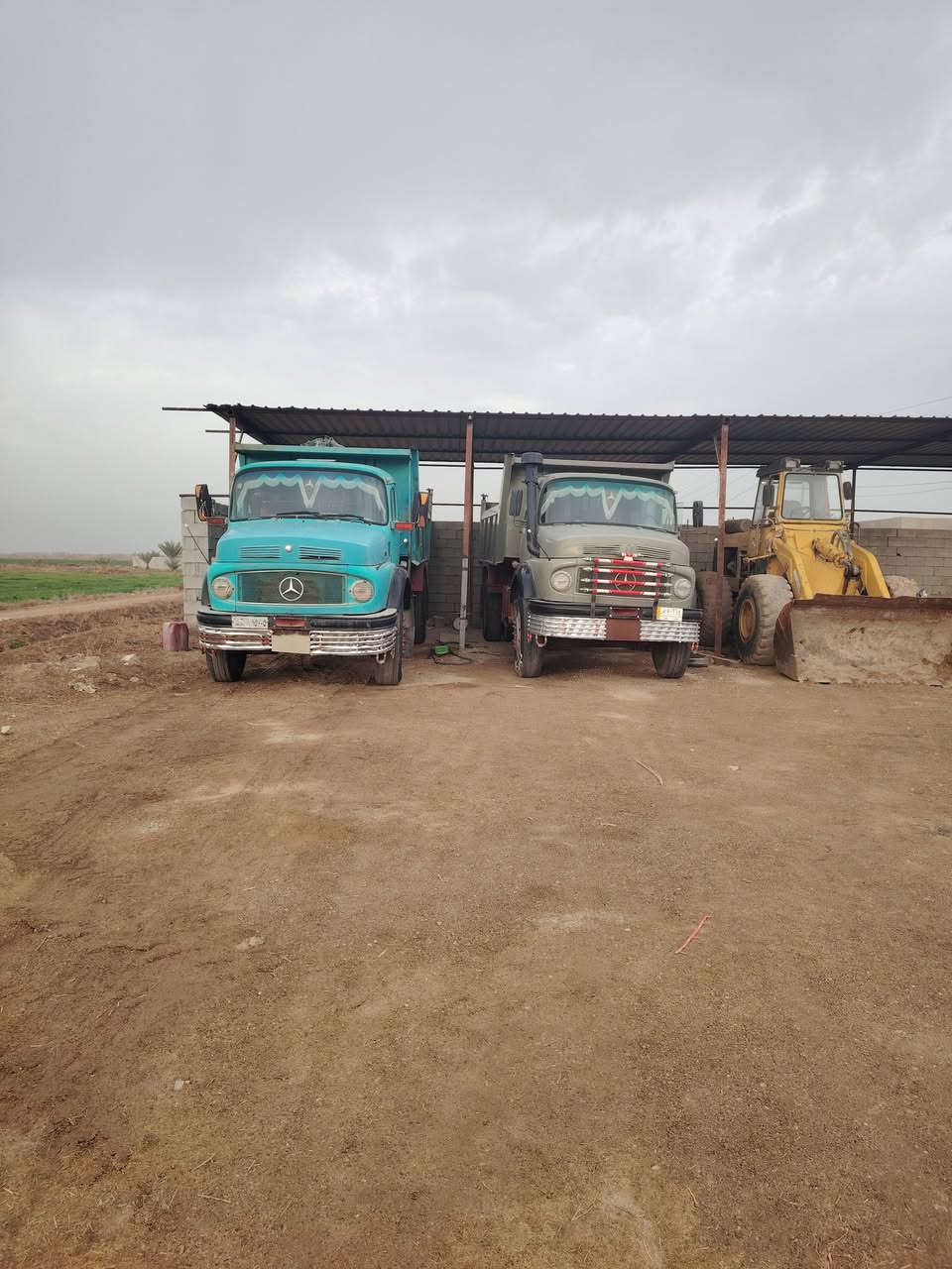 السلام عليكم  قجمات البيع العدد 2    كفاله عامه  السعر  الواحد 40 مليون  . السكن ابو غريب خانضاري  الاستفسار  ***********. ***********
