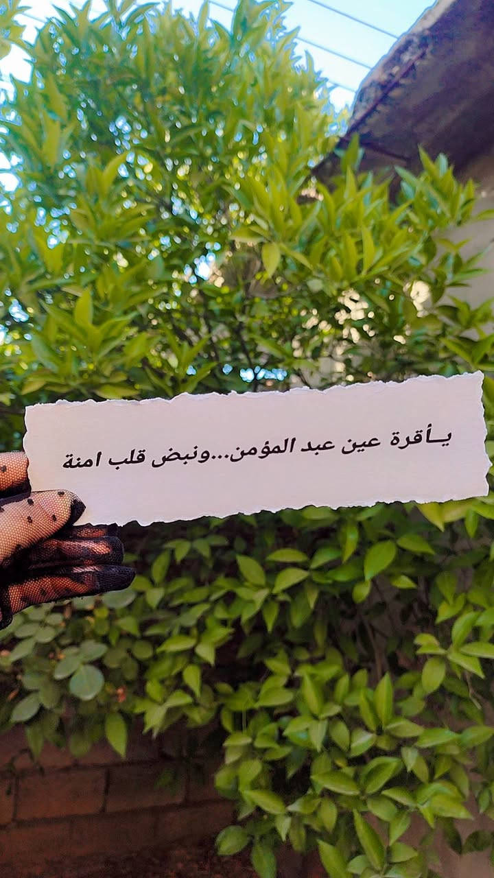 متوفر استيكرات للحمل


**إذا كنت صاحب هذا الإعلان وتريد حذفه لأي سبب، رجاءا أرسل رسالة إلى الدعم الفني**