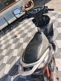 ماطور ماكس ثعلب • صلاح الدين تكريت