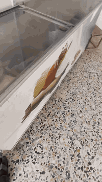 السلام وعليكم للبيع مجمده ايكور طويل بدون تصليح قياس٢٠٦سم استفسار 0771...