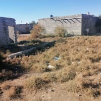 حي الشهداء • ٢٥٠م • خدمات كاملة