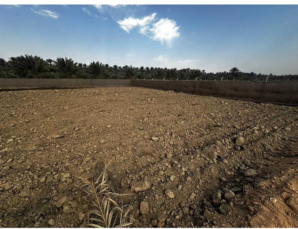 500 متر طابو زراعي تحويل اسهم باسمي كربلاء قرب المعهد الفني خلف جامعة الامل نهر السلام فرع مدرسة دمشق 
السعر 27 مليون وبيها مجال 
***********
