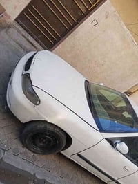 نوبرا للبيع بغداد الصليخ 07712234041 30بيهة مجال