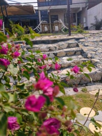 متوفره مزرعه الايجار الدوره البوعيثه سعر مناسب وموثقه بتطبيق اجرلي وال...