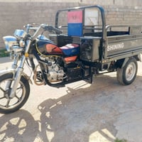 ستوته • مديل ٢٤ • مكفوله