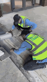 اعمال مفاصل التمدد الاكسبايشن جوين 
شركه بصمه مهندس 
اعمال العزل المائي والحراري والصوتي 
جميع الانضمه
جميع العوازل 
معالجه مفاصل التمدد 
 معالجه جميع اعمال الكونكريت
للتواصل 
***********
