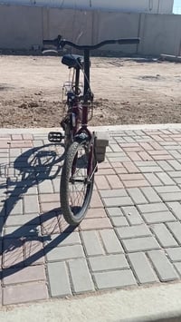 باسكل ياباني • نظيف • حجم 20