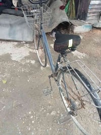 باسكال البيع سعره 30 بغداد البياع الشهداء جامس حجم 26 الرقم الهاتف  07...