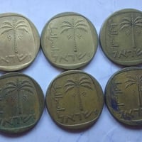 عرض • متوفر • شيكل