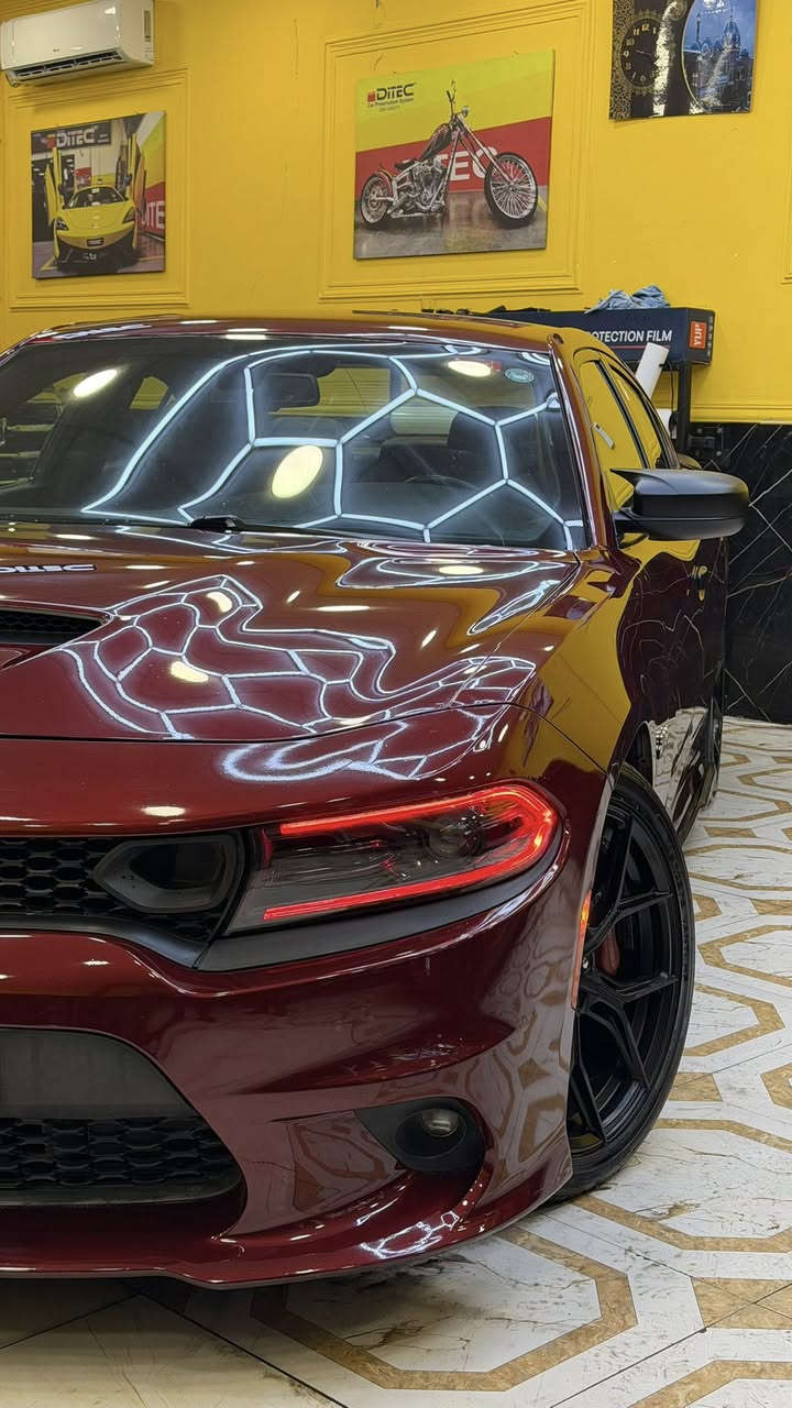 تشارجر سكات باك مديل 2020 حادث جاملق وباب خلفي بدون دواخل و جاملق امامي سرقه وراجع نفسه بدون اي حادث ايرباك دشبول راجع سستم. 

البجم كبس سياره مكينة وكير مكفولات وجدا نظيفه ونصبتها رهيبة. 

السياره ربع ماتصوف عليهه حتى طخم تايرات وويلات جديدات والحداده جديده. 

السياره ستوك ع وضع الوكاله فقط اويل كاش كان مخليلها ماملعوب بيهه. 

رقم اربيل باسمي السيارة وماكنها البصرة

السعر 240 ورقة


**إذا كنت صاحب هذا الإعلان وتريد حذفه لأي سبب، رجاءا أرسل رسالة إلى الدعم الفني**