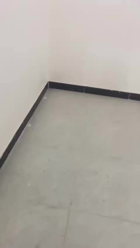 بيت زراعيه للبيع بناء حديث درجه أولى
مساحه ١٤٠ م بناء غرفه ٢ وصاله ومطبخ واستقبال 
سديناويه صفي دين قرب مجمع بشير 
***********
