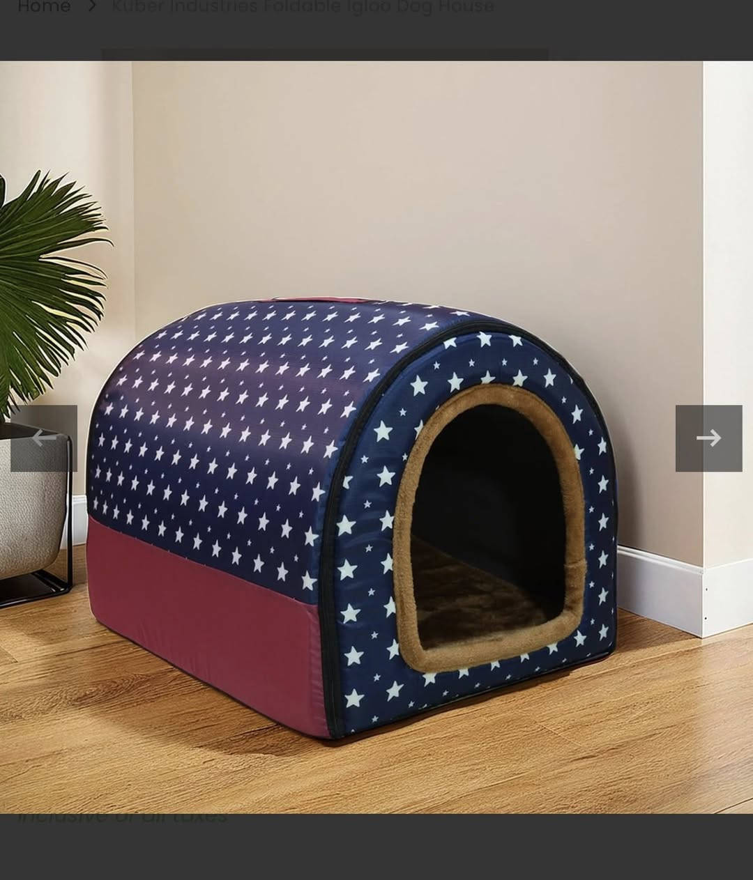 سعر القطعة 10 الف


**إذا كنت صاحب هذا الإعلان وتريد حذفه لأي سبب، رجاءا أرسل رسالة إلى الدعم الفني**