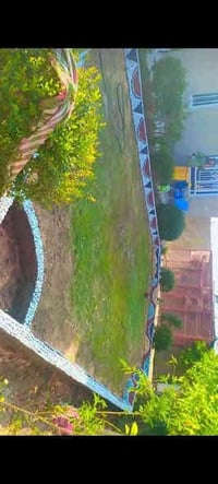 حسن لديكور07832360478 🍃مستـعدون🍂 ، لـترتيب🐦 الحدائق المنزلية 🏝️🏘️ وزرا...