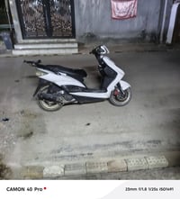 سكنس فحل • خطين • نوزل