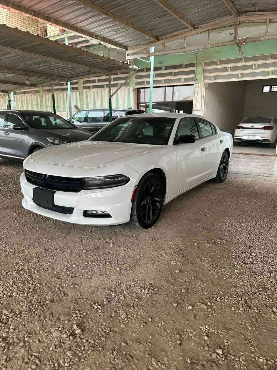 جارجر2020 
Sxtبلاس
ماشيه70
مكينه كير كفاله

حداده90 /100

تخم تاير طك كارتون 

كشنات جلد كهرباء 

شاشه كبيره

سستم صوت بلاد دمام باين 

تبريد قطعتين ثلج 

محددسرعه

ويل كب 20اسود بلاد 

جنح اسود بلاد 

مري اسود بلاد

كامره خلفيه دوار

حساسات خلفيه

شاشه كار بلي

دخول ذكي بصمه

جي بي اس خراط 

هواي مواصافت بعد بيها 

رقم بغداد ب اسمي تحويل ثاني يوم

ملاحضه سياره بس حادث امريكا 
ربع بنيد  جاملغ بارد فقط كل قطع سياره بلاد حتى جام 

السعر 245

العنوان بصرة شط العرب 

***********
