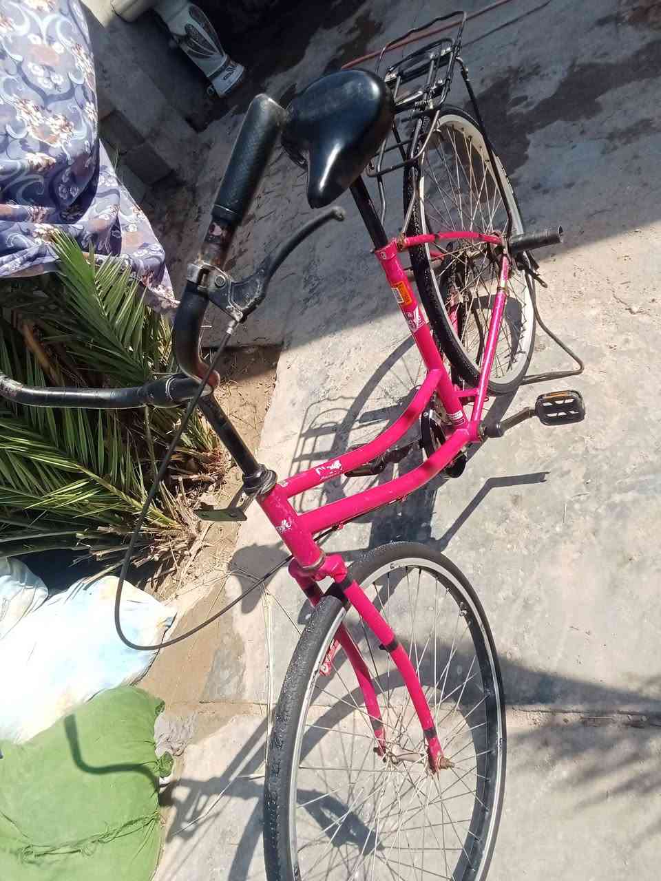 بايسكل 26 كامل مكمل شرط طيران مال تعليك سعر 110وبي مجال كلش الشراي


**إذا كنت صاحب هذا الإعلان وتريد حذفه لأي سبب، رجاءا أرسل رسالة إلى الدعم الفني**