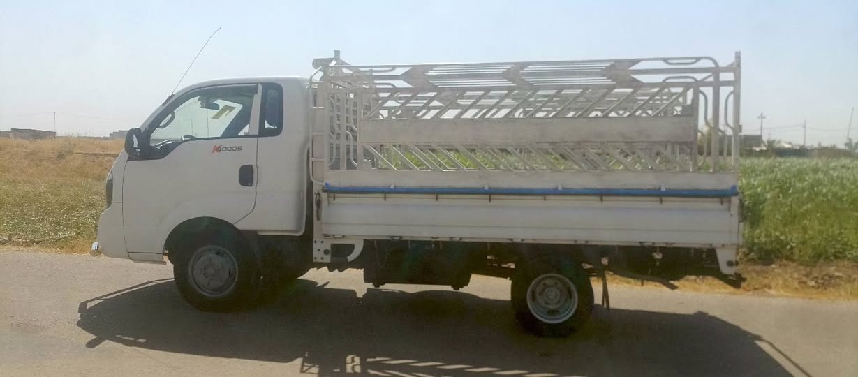 فحل موديل 20 رقم كركوك سنويه جديده ماشي 120بعدو عالشركه كلشي شرط سعر 165وبيها مجال مكان الحويجه ***********
