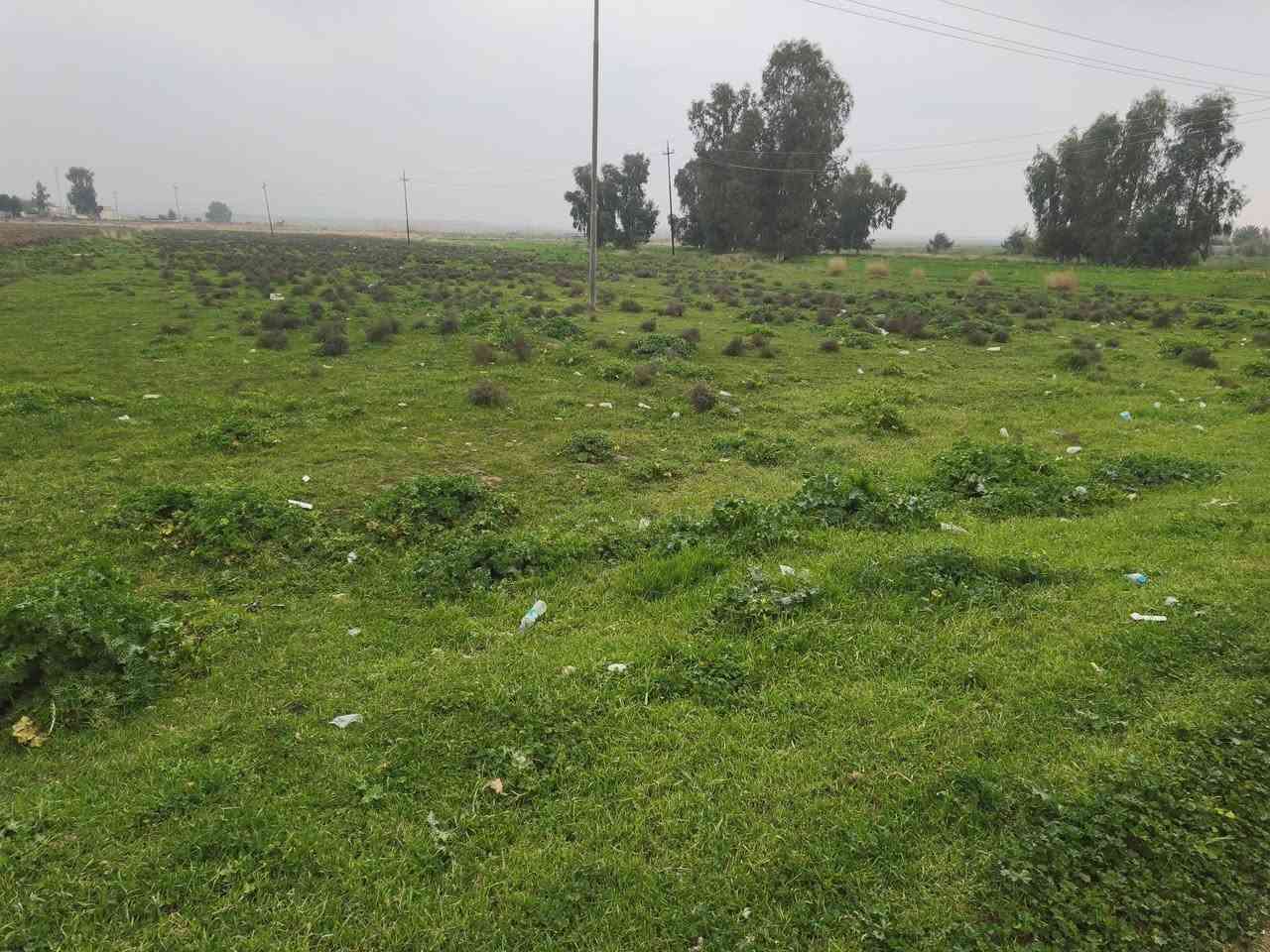 سلام عليكم
كاع زراعي للبيع 4 دوانم نص عل طريق خانقين كلار  مكان ميخاس عل شارع عام 
***********
