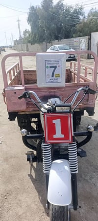 ستوته • موديل ١٩ • بدون اوراق