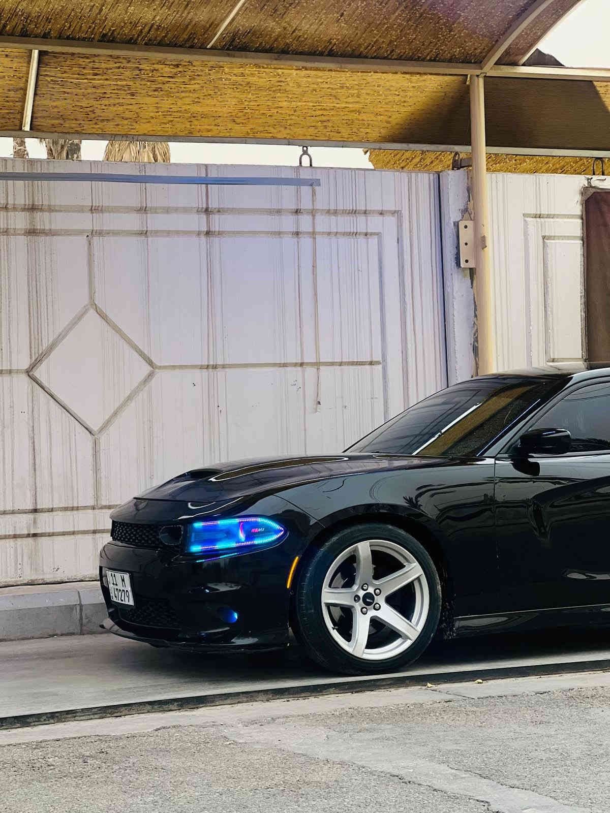 اليربي أسد مايفكر بمصاريف اللحم 😉👇

جارجر 2019 اصل ارتي رقم بغداد بأسمي

السعر : 207 وبيه مجال موديل 19 

مكاني بغداد *********** 

سياره حادثه بسيط بدون دواخل 

محرك 5700 كفالة
تو ويل 
شفتات استيرن 
ويل 20 جديد  
تشغيل عن بعد
كشنات حضن
كامرة خلفية دوارة
شاشة كبيرة مع نظام ملاحة GPS
حساس امامي+ خلفي 
كشنات حضن 
سوبر اتراك
لايتات زنون 
لدات عين الشيطان 
كزوز كورسا صوت طرب يخبل 

سيارة عليها برمجة وتعريب وتفريغ يم ايكل 

مكاني بغداد
