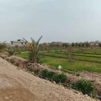 النساف الفلوجة • دونم واحد • سند 25