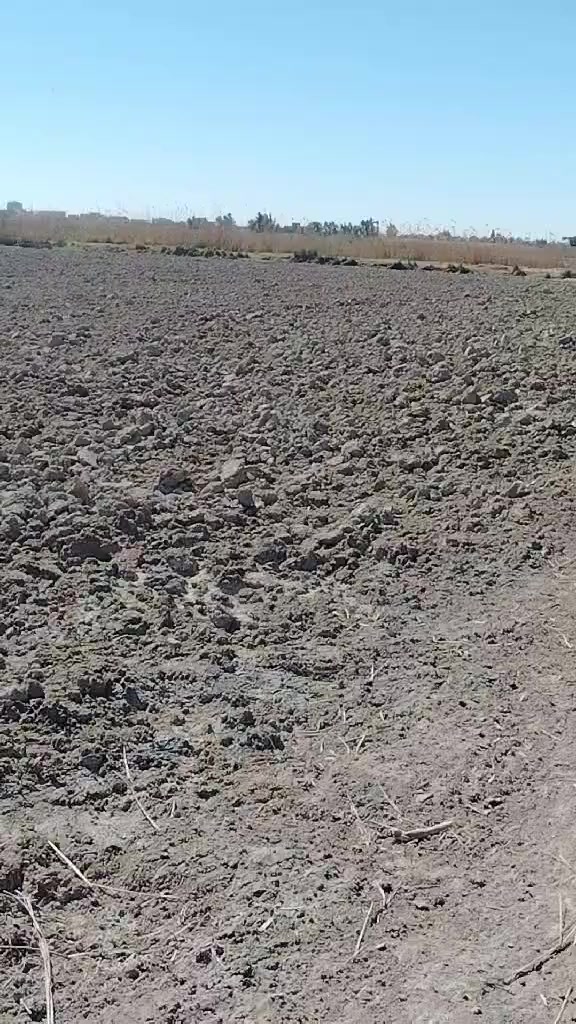 دونم  سند زراعي ٢٥   في سجر قرب مول حلبوسي    سعر دونم ٥٥  بيه مجال


**إذا كنت صاحب هذا الإعلان وتريد حذفه لأي سبب، رجاءا أرسل رسالة إلى الدعم الفني**