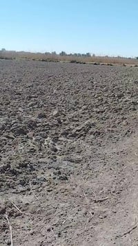 سجر قرب مول حلبوسي • سند زراعي • ٢٥ دونم